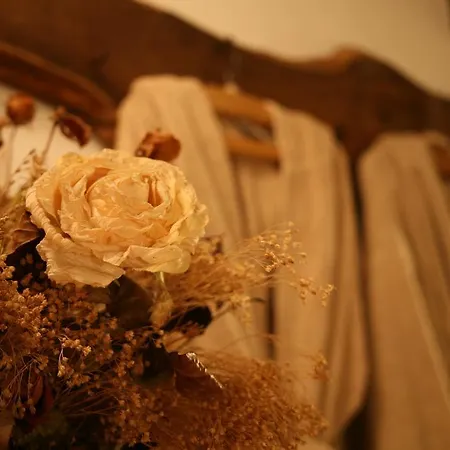 Il Mulino Di Valle Bed & Breakfast *